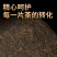 班章普洱云南金芽动海宫廷老班章茶叶熟茶七子古树普洱
