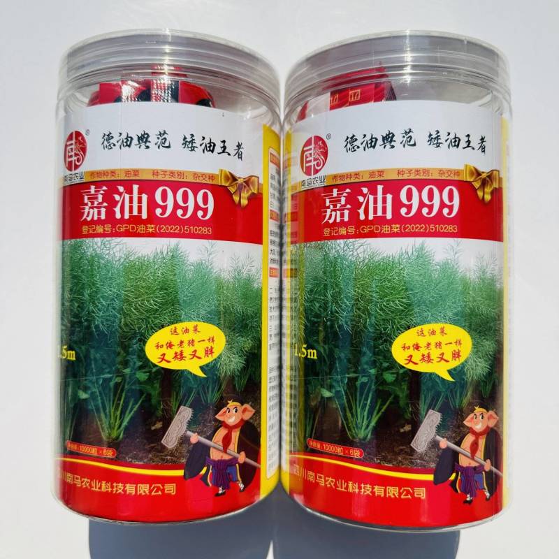 四川杂交油菜种子嘉油999黑油菜种籽矮杆实心杆抗倒伏榨油