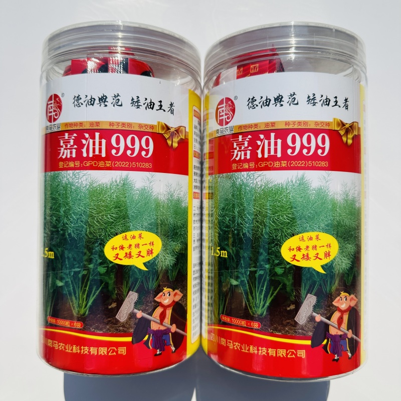 四川杂交油菜种子嘉油999黑油菜种籽矮杆实心杆抗倒伏榨油