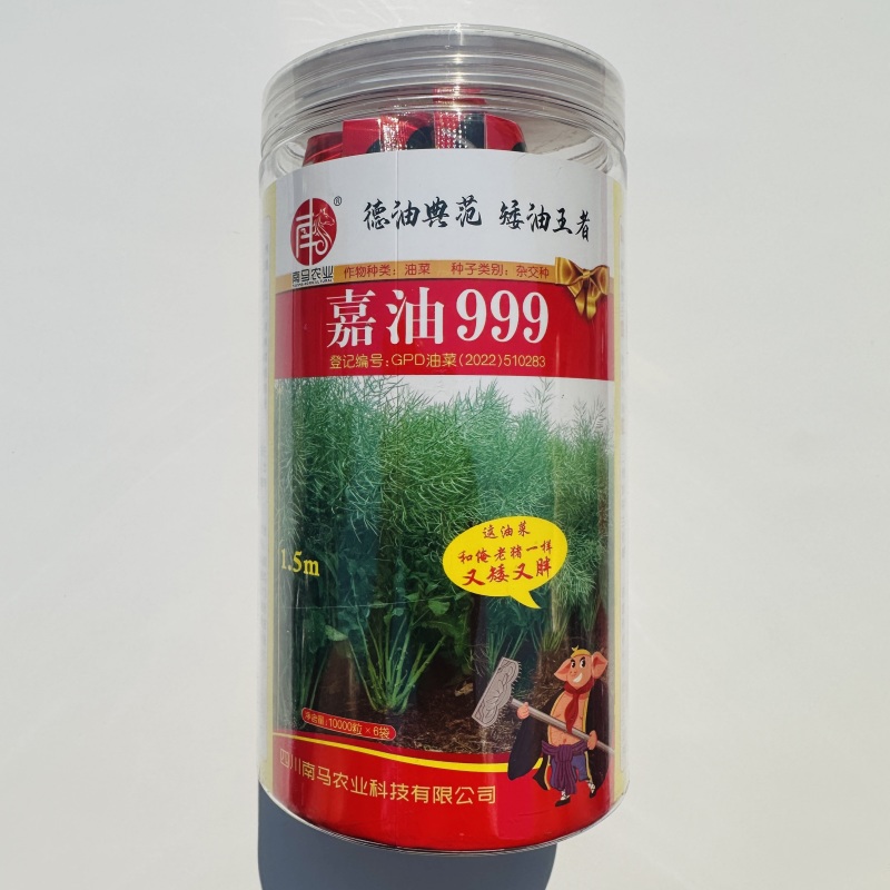 四川杂交油菜种子嘉油999黑油菜种籽矮杆实心杆抗倒伏榨油