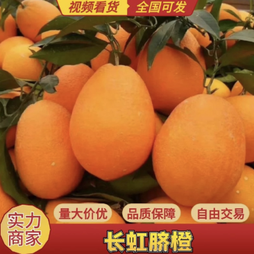 长虹脐橙纽荷尔对接电商，市场，出口加工包装一条龙服务