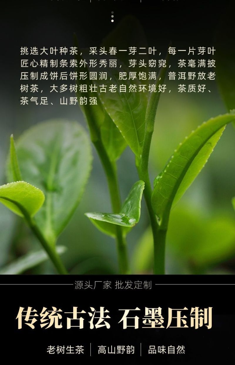 班章王生生茶老班章实惠批发云南茶王普洱茶古树口粮七子茶叶