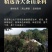班章王生生茶老班章实惠批发云南茶王普洱茶古树口粮七子茶叶