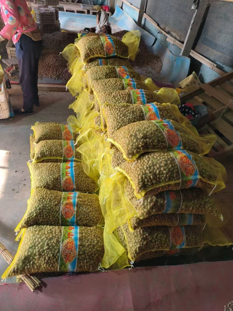 【实力推荐】山东山药/山药豆/对接电商批发市场加工厂