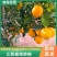 【精选】江西赣南脐橙量大从优保质保量现摘现发对接全国