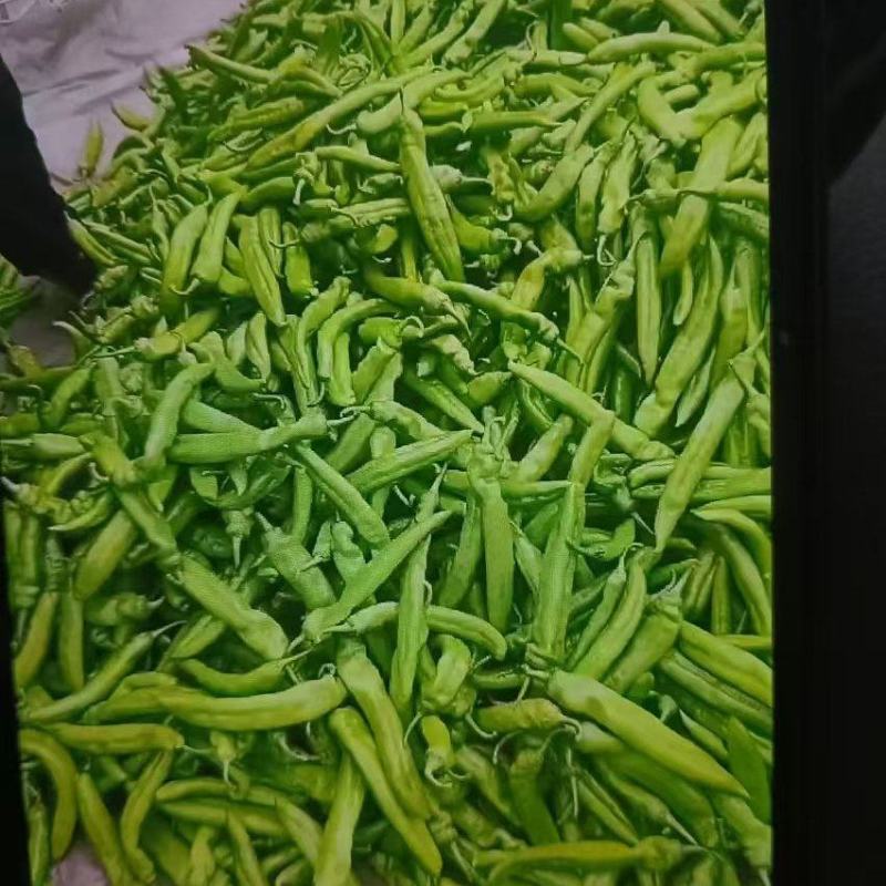 各类辣椒