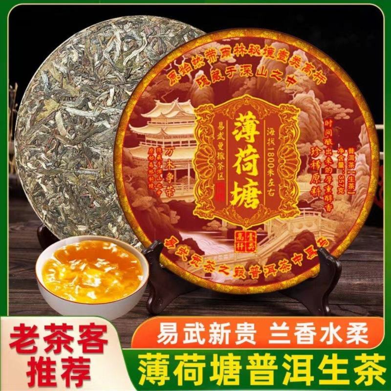 荷塘古树陈年生茶口粮357克批发云南产地普洱茶七子茶叶