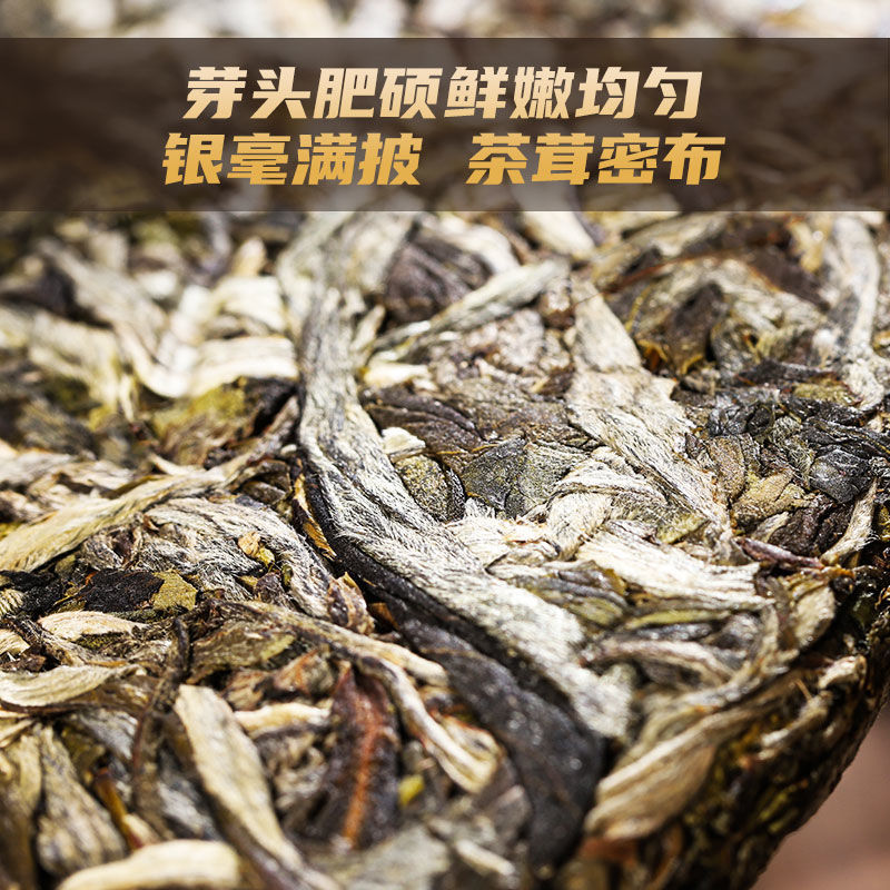 荷塘古树陈年生茶口粮357克批发云南产地普洱茶七子茶叶