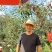 正宗大凉山盐源丑苹果糖心苹果电商一件代发