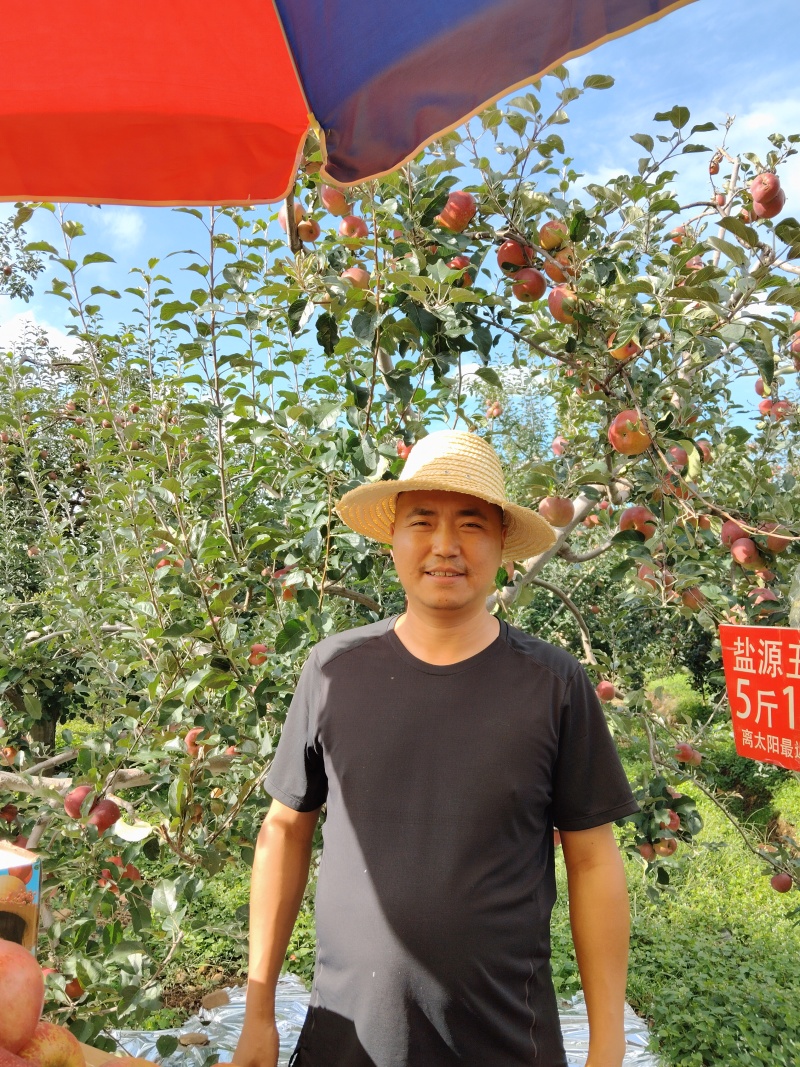正宗大凉山盐源丑苹果糖心苹果电商一件代发