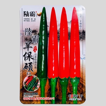陆霸旱保硕小米椒种子进口品种单生品种