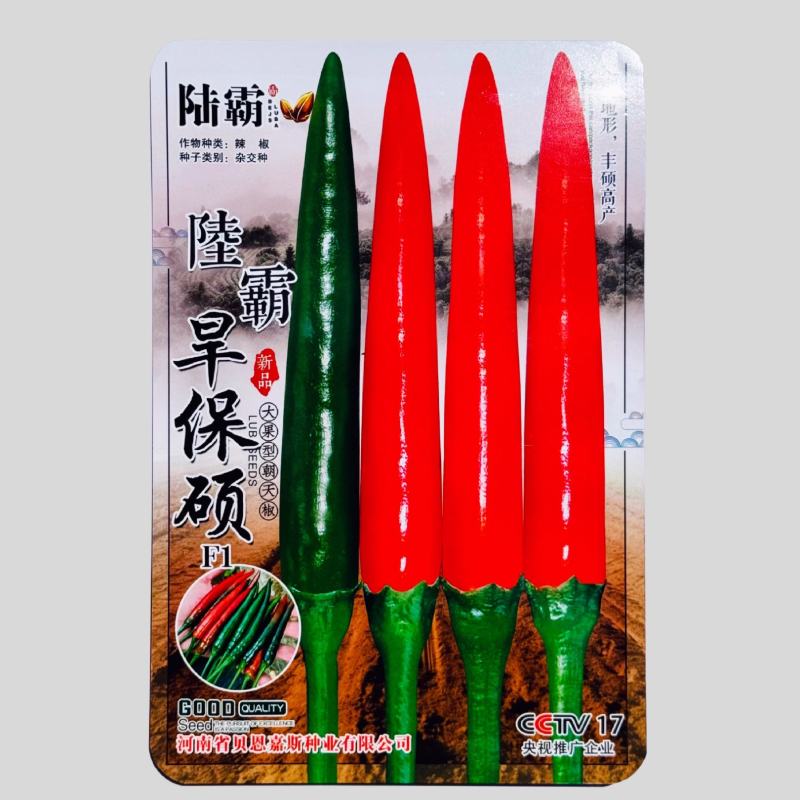 陆霸旱保硕小米椒种子进口品种单生品种