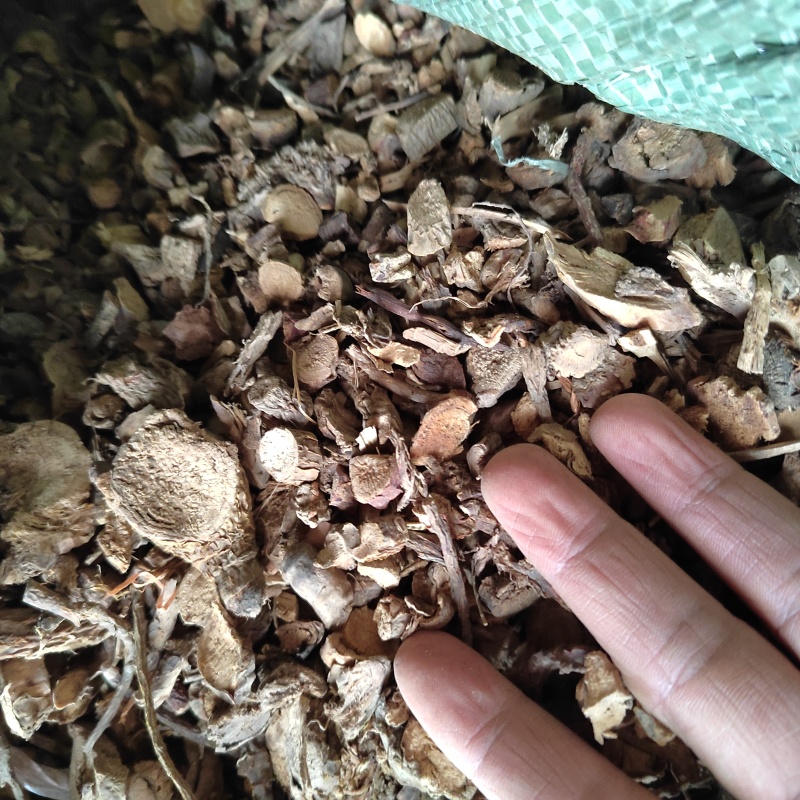 苦参，野生高含量苦参