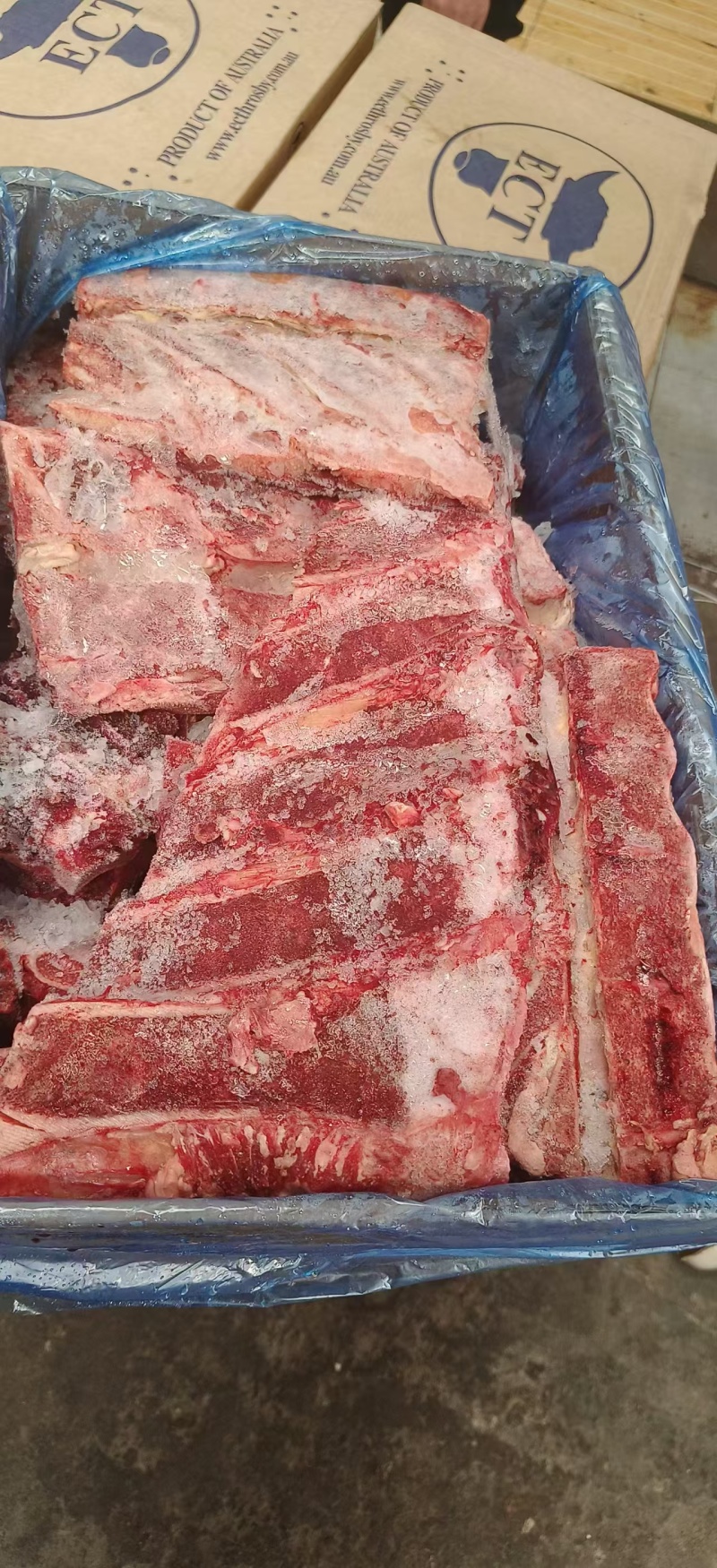 486牛脊骨23年12月货到货一柜带肉率很高