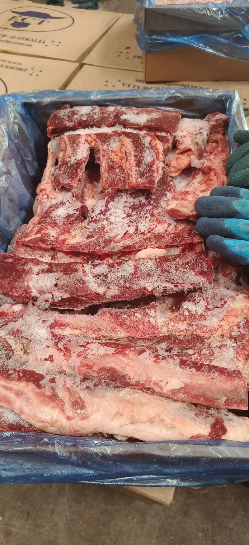 486牛脊骨23年12月货到货一柜带肉率很高
