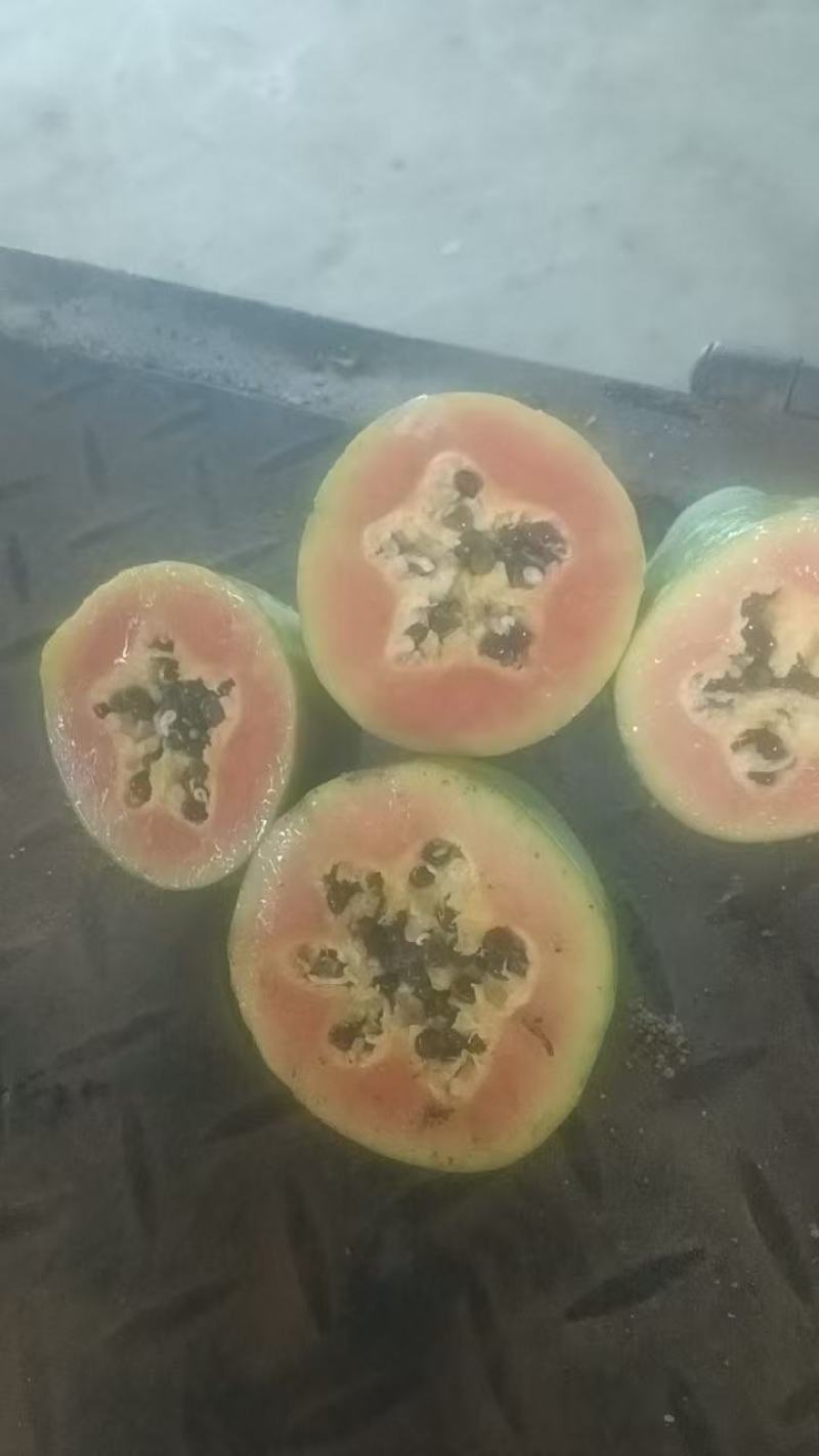 常年供应工厂货，生瓜生瓜，中白大青