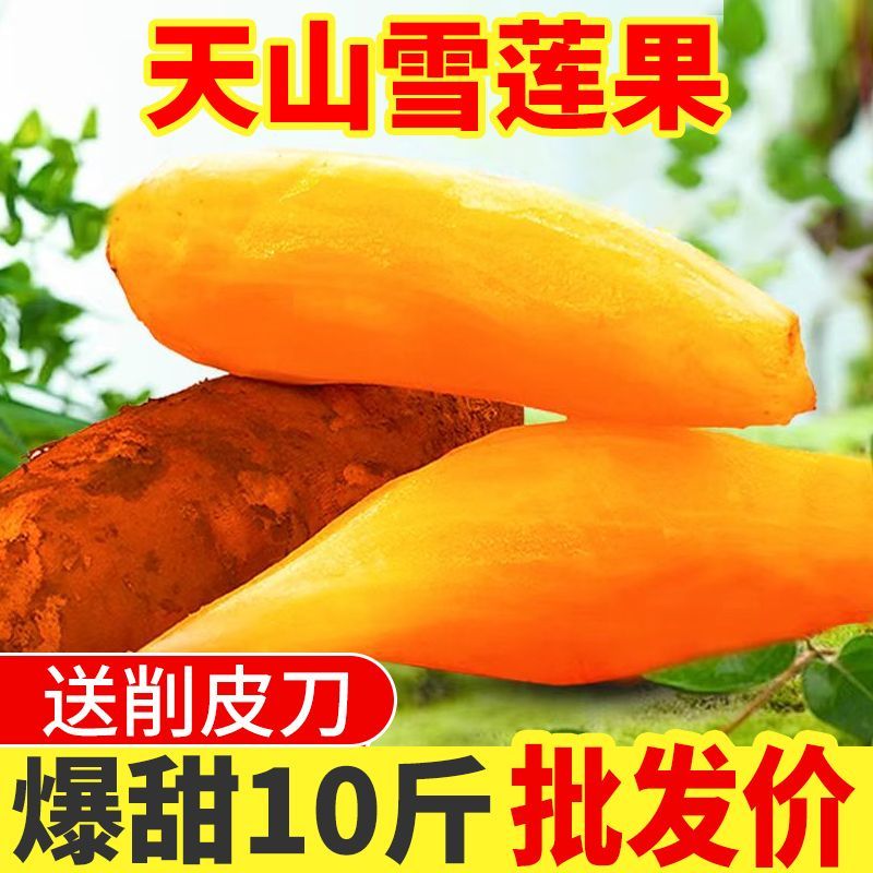 现挖云南天山雪莲果红心水果新鲜当季脆甜一整箱批发一件代发