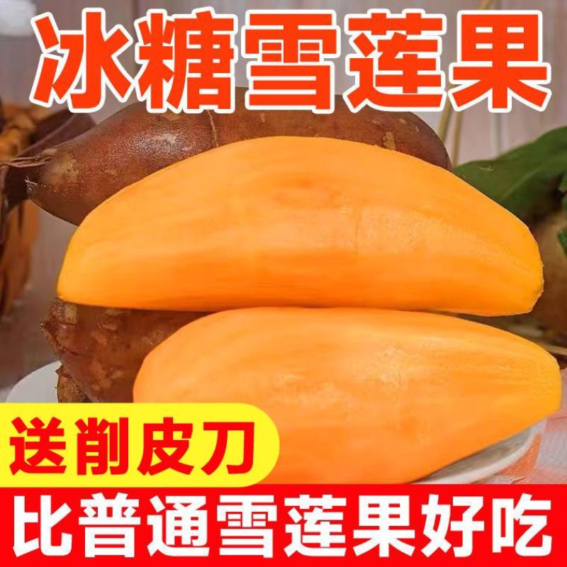 现挖云南天山雪莲果红心水果新鲜当季脆甜一整箱批发一件代发
