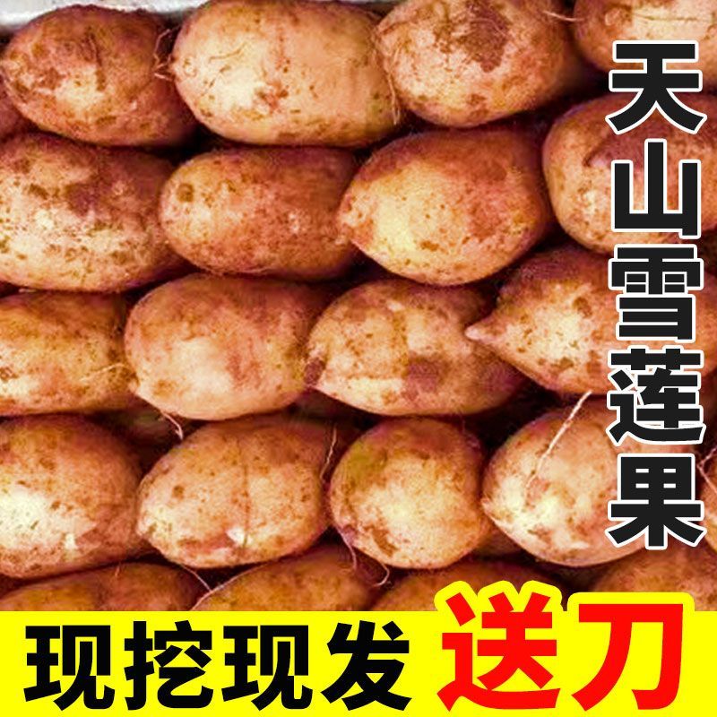 现挖云南天山雪莲果红心水果新鲜当季脆甜一整箱批发一件代发