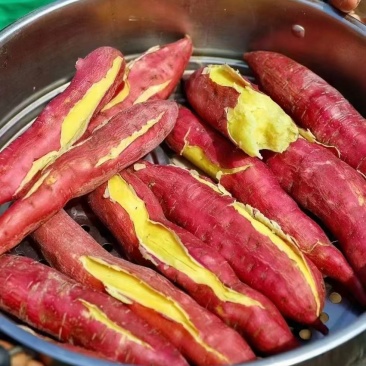 板栗红薯有现货