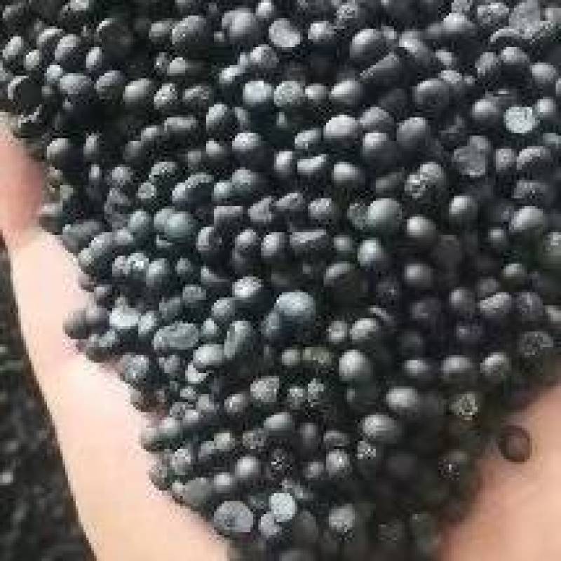云南大天冬种子，品种纯正，发芽率95%，对接全国