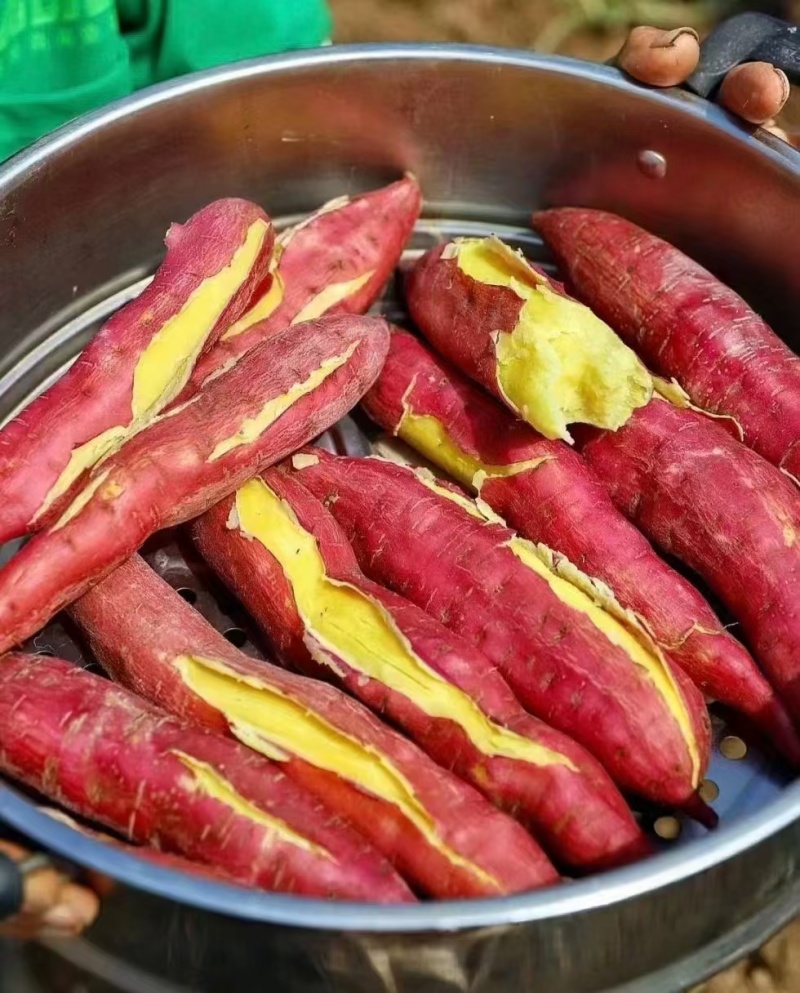 板栗红薯秦五，自产自销！保证品质