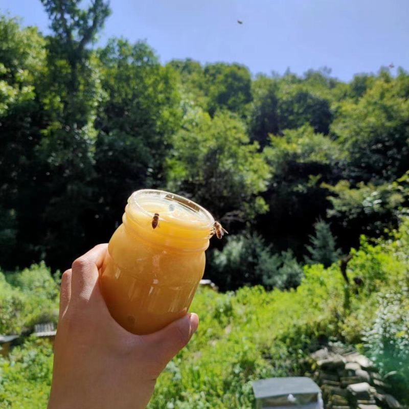 秦岭山土蜂蜜