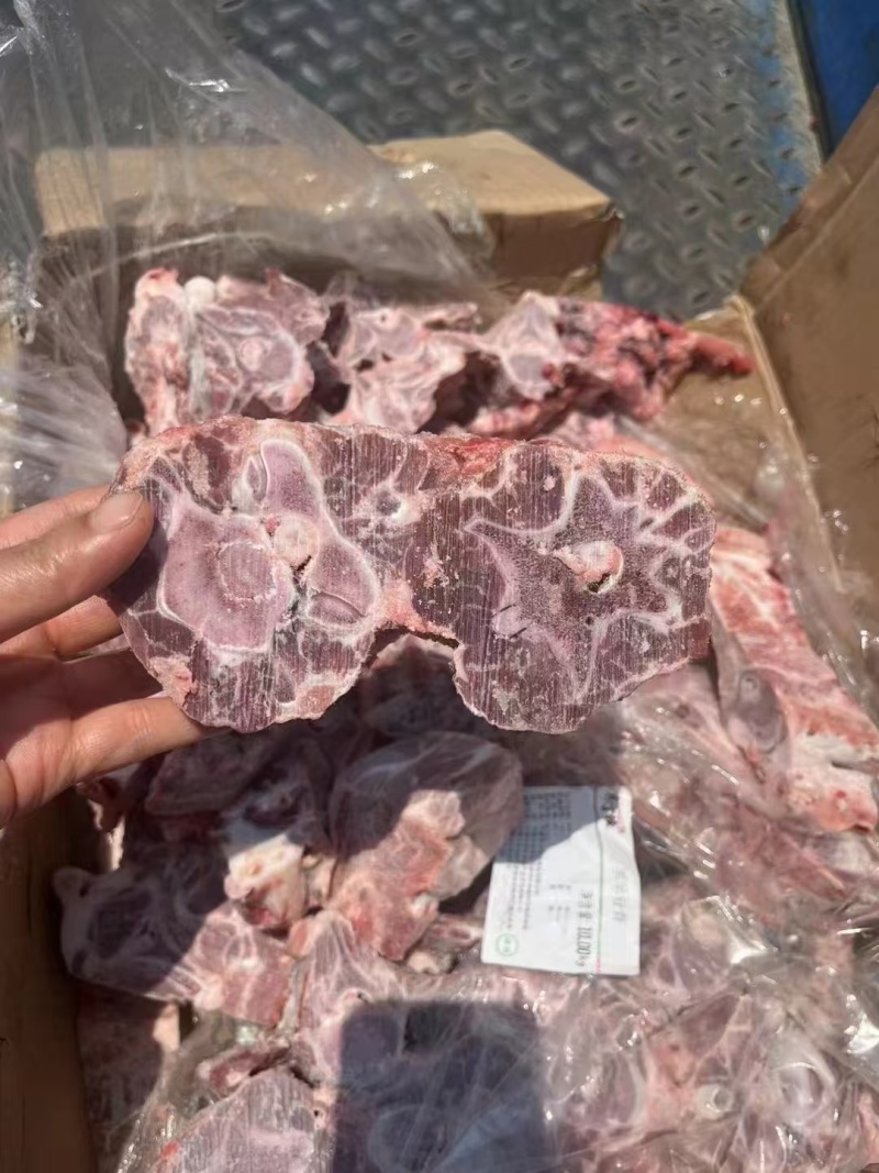 多肉羊蝎子，肉厚，质量看的见！羔羊蝎子，全国冷链均可发货