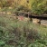 秦岭山土蜂蜜