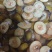2024新货野生棠梨干鸟梨子山楂糖梨干沙梨天然人工晒干泡