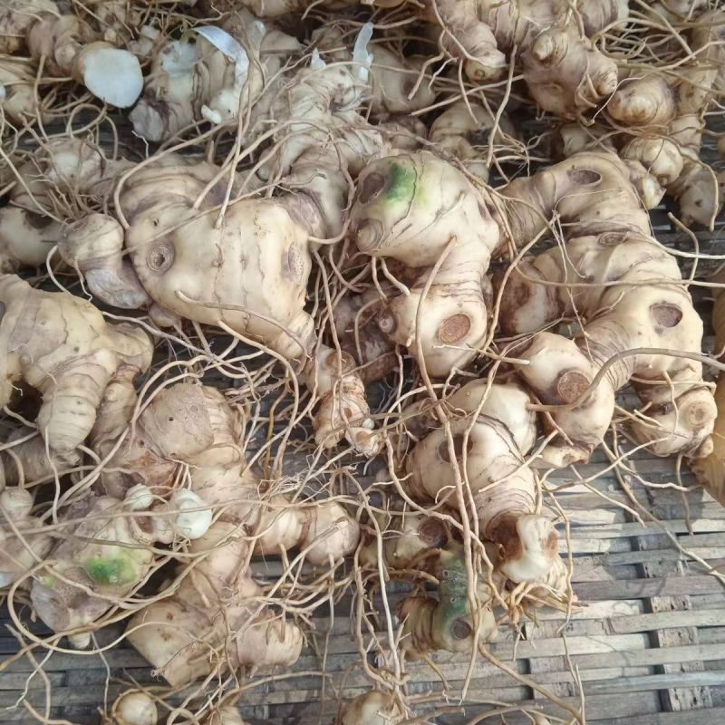 贵州黄精甜黄精产地直发质量保证诚信经营量大从优