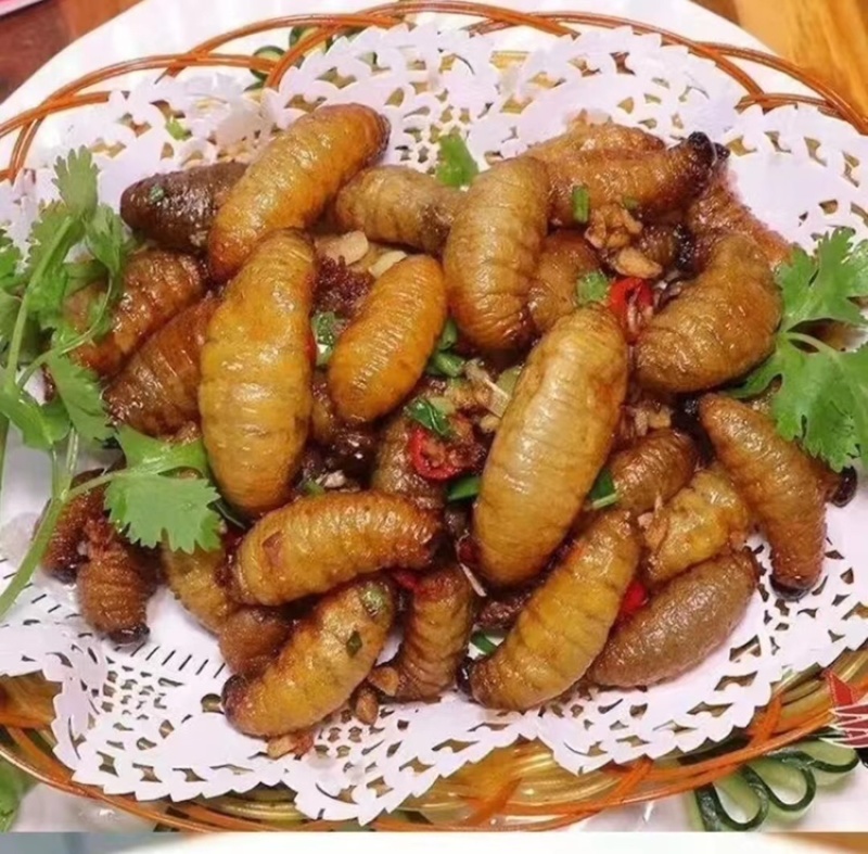 广东特产竹虫个大肉多口感好价格实惠欢迎选购