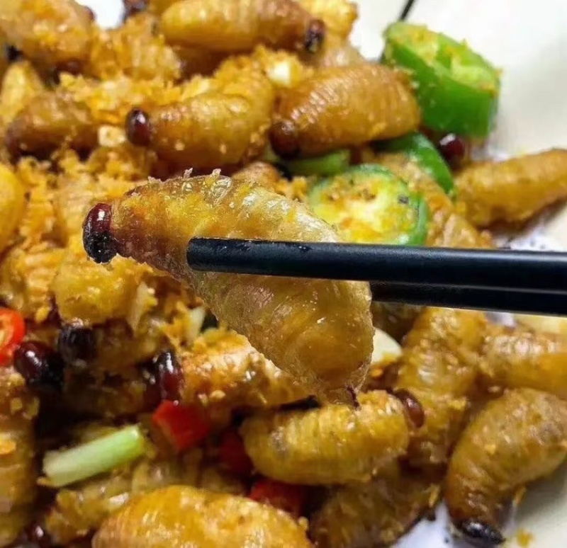 广东特产竹虫个大肉多口感好价格实惠欢迎选购