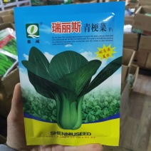 瑞丽斯耐热青梗菜种子小油菜南方北方春夏秋天种植青菜种子