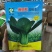 瑞丽斯耐热青梗菜种子小油菜南方北方春夏秋天种植青菜种子