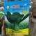 瑞丽斯耐热青梗菜种子小油菜南方北方春夏秋天种植青菜种子