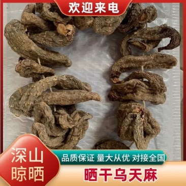湖北大别山罗田深山晒干乌天麻串串麻天麻干货无硫