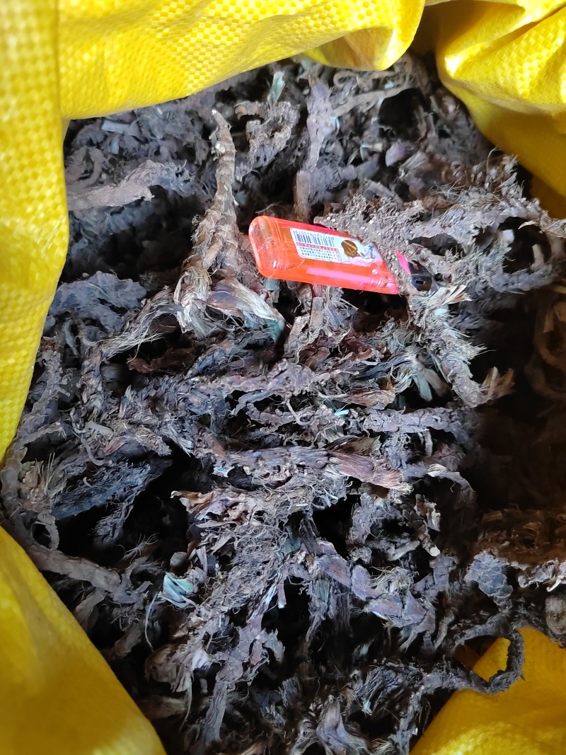 石菖蒲，石菖蒲