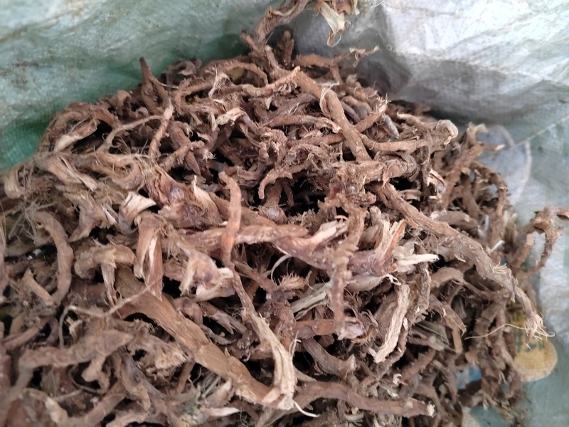 石菖蒲，石菖蒲