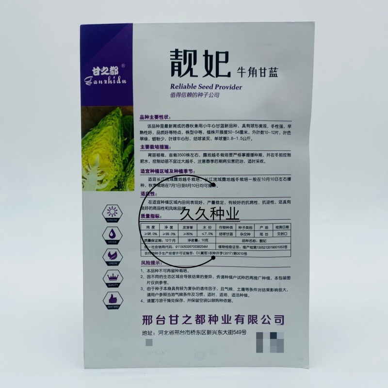 靓妃牛角型甘蓝种子早熟春秋播牛心甘蓝牛心尖头包菜种