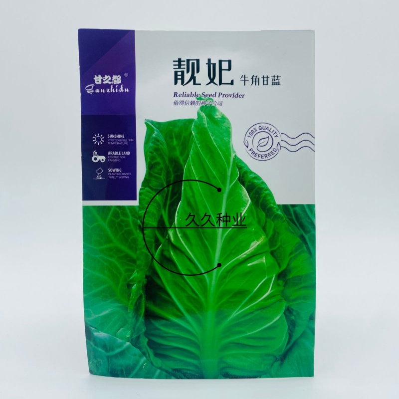 靓妃牛角型甘蓝种子早熟春秋播牛心甘蓝牛心尖头包菜种