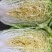 吉林大白菜、高装黄心菜、大小黄包心菜、蛋黄白菜、杠菜