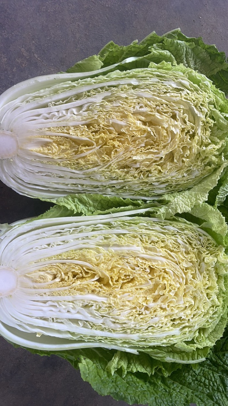 吉林大白菜、高装黄心菜、大小黄包心菜、蛋黄白菜、杠菜