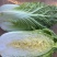 吉林大白菜、高装黄心菜、大小黄包心菜、蛋黄白菜、杠菜