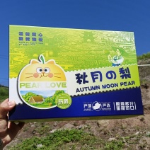 【招财猫伴手礼礼盒】烟台莱阳秋月梨脆甜多汁核心原产地直发
