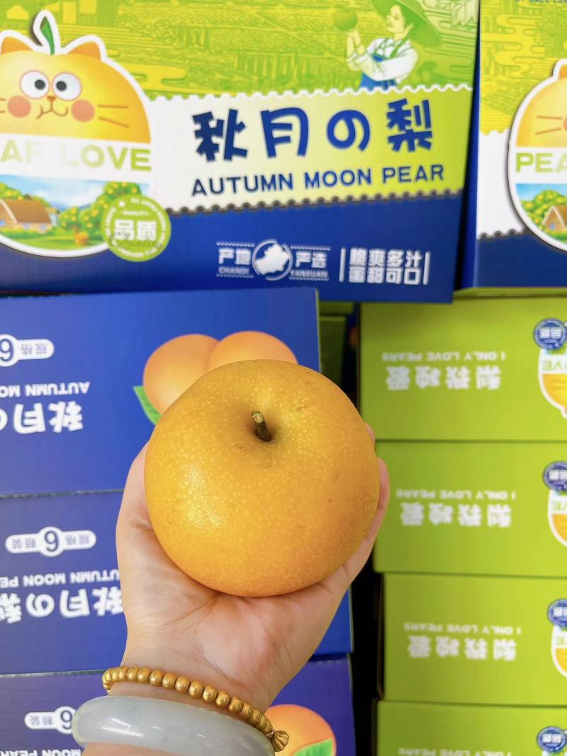 【招财猫伴手礼礼盒】烟台莱阳秋月梨脆甜多汁核心原产地直发