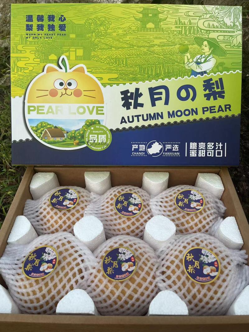 【招财猫伴手礼礼盒】烟台莱阳秋月梨脆甜多汁核心原产地直发
