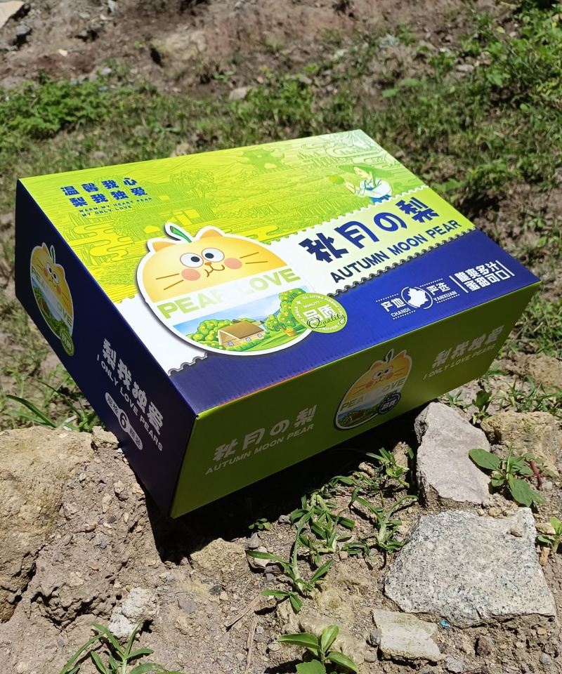 【招财猫伴手礼礼盒】烟台莱阳秋月梨脆甜多汁核心原产地直发