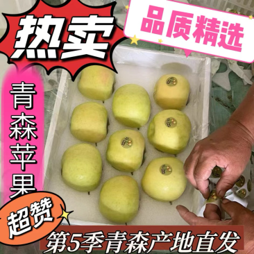 青森水蜜桃苹果大量上市口感脆甜无酸水分足专业对接各大市场