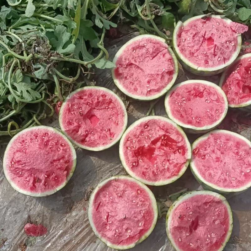 精品美都产区直发保质保量供货对接全国采购商